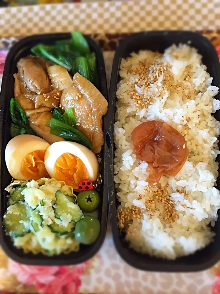 Snapdishの料理写真:お父さん弁当|sachikoyamさん