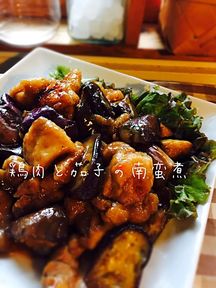 Snapdishの料理写真:鶏肉と茄子の南蛮煮|Sachiyo Tanakaさん