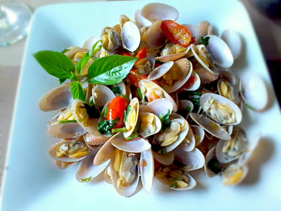 Clam sheels in tomatoe sauce n coriander ⊙ ♡♡♡|🌼 Pooja's Kitchenette 🌼さん