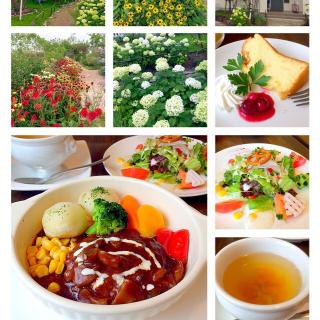 アピオスともち麦ご飯のこだわり野菜カレー ゆみ Snapdish スナップディッシュ Id 9gl0ja