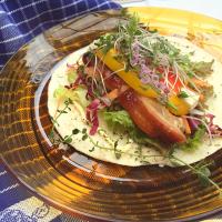 tortilla wrap*