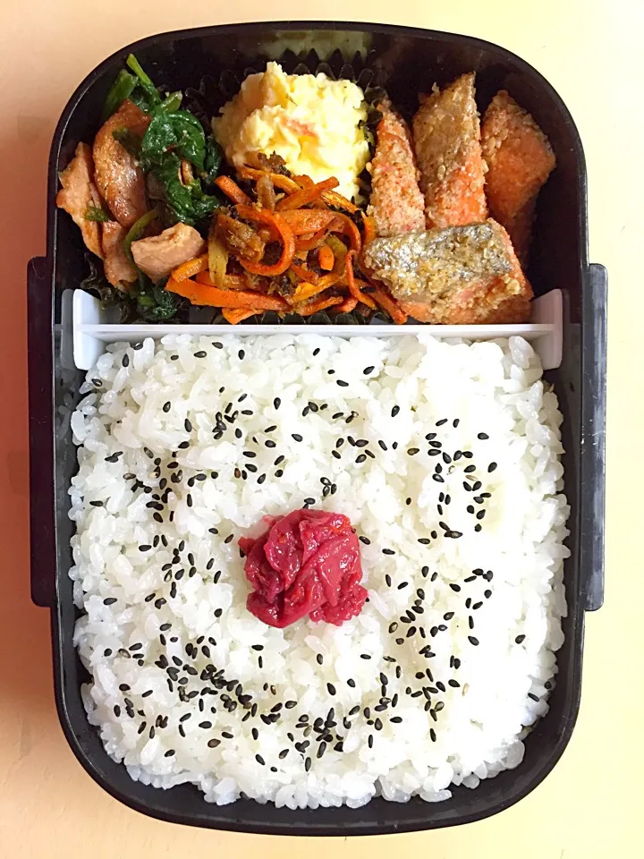 Snapdishの料理写真:お弁当／男子高校生|nayutaさん