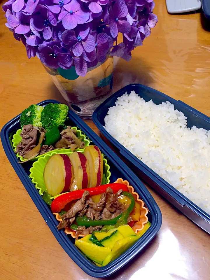 牛のごぼう島オクラさっと煮&青椒肉絲|Sawaさん