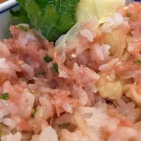 Snapdishの料理写真:葱花黑鲔鱼盖饭|Sarahさん