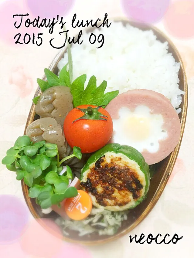 Snapdishの料理写真:お弁当2015/JULY/9th|neoccoさん