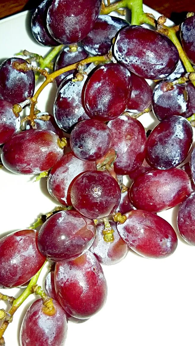 this is grapes @margaux #|Laila Jadidさん