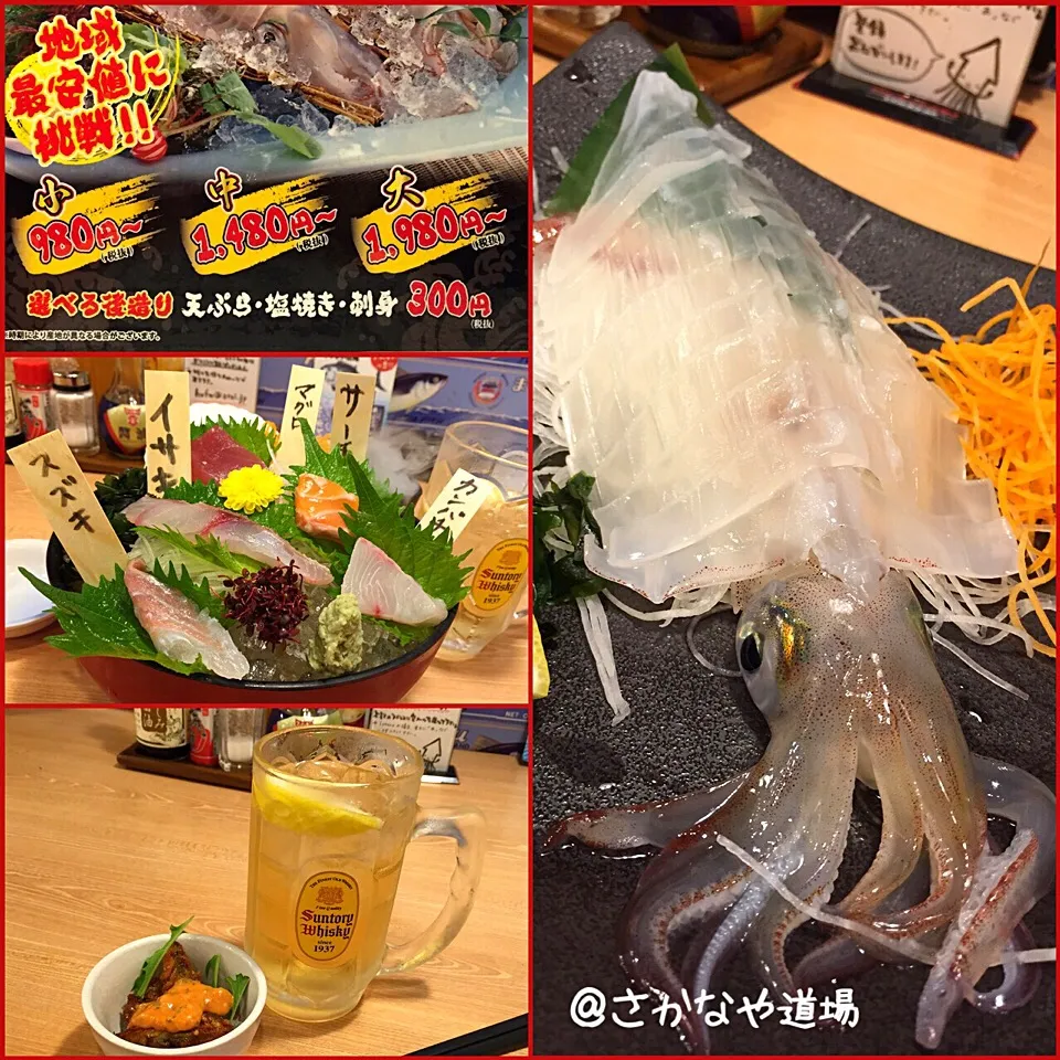 Snapdishの料理写真:＠さかなや道場(佐賀)☆今夜はしっぽり一人飲み♪ 呼子のイカ最高！😆|TETSU♪😋さん