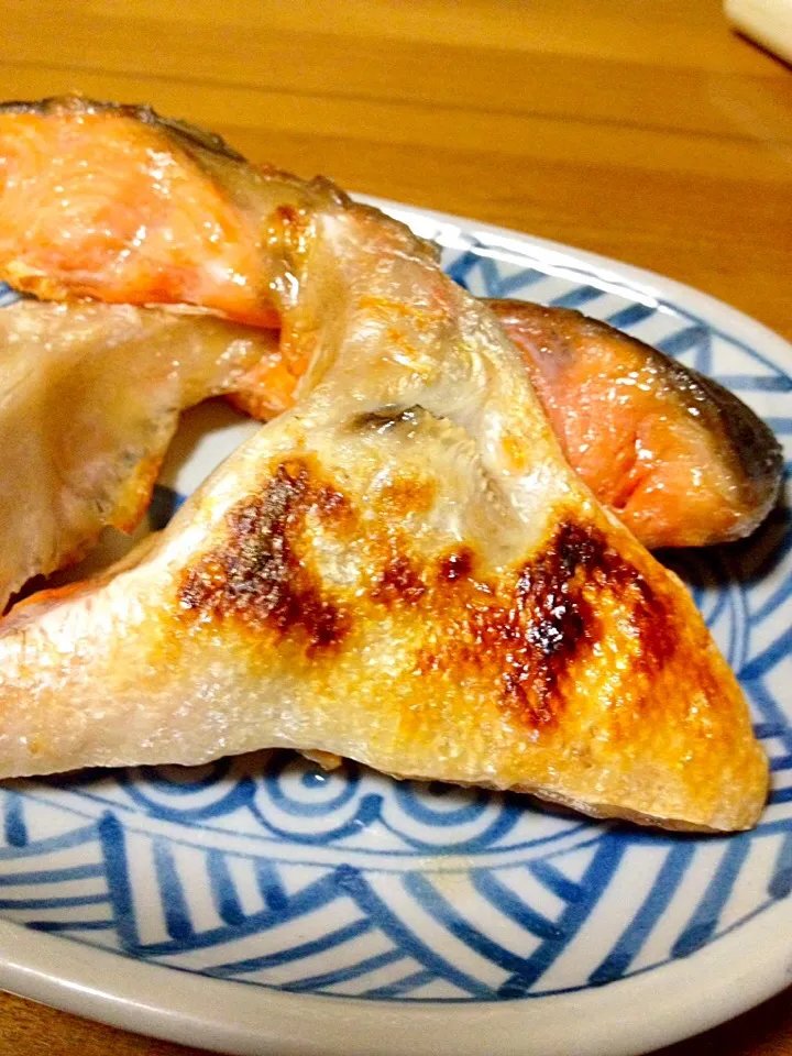 鮭のカマの塩焼き🐟再び🎵|まいりさん