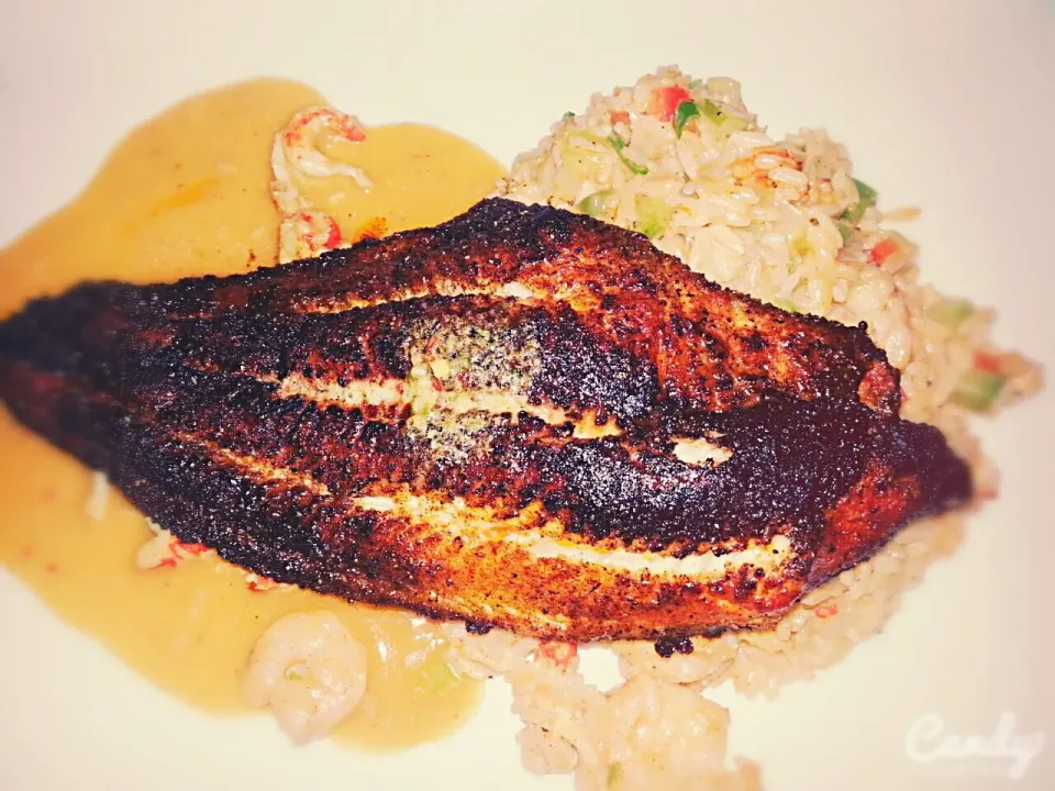 Snapdishの料理写真:Blackened Catfish with Dirty Rice and Crawfish Etouffee|Courtney Alizabet Riess Handelさん