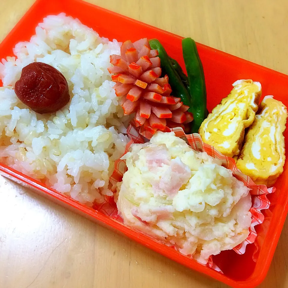 お弁当 2015/07/10|たまこっこさん