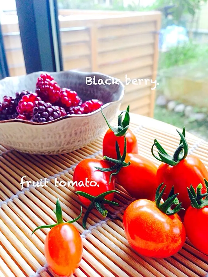 Snapdishの料理写真:実家で採れた🍅と🍓。|いのちゃんさん