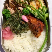 Snapdishの料理写真:おかひじきのてんぷらとワラビがアクセントのお弁当|もりさん