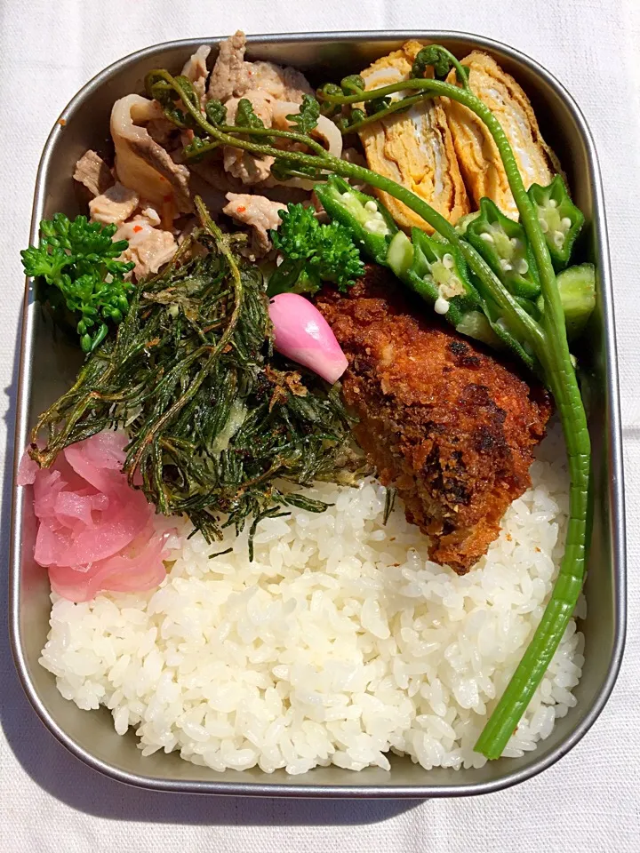 おかひじきのてんぷらとワラビがアクセントのお弁当|もりさん