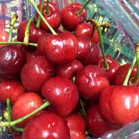 樱桃🍒🍒|平哥哥さん