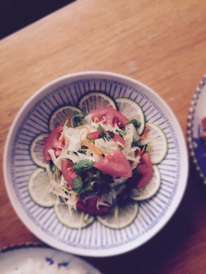 ソムタム✴︎青パパイアのsalaD|Imanaka Yukikoさん