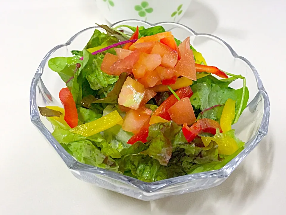 Fresh Vegetables Salad in French Dressing...|Jane's style of cookingさん