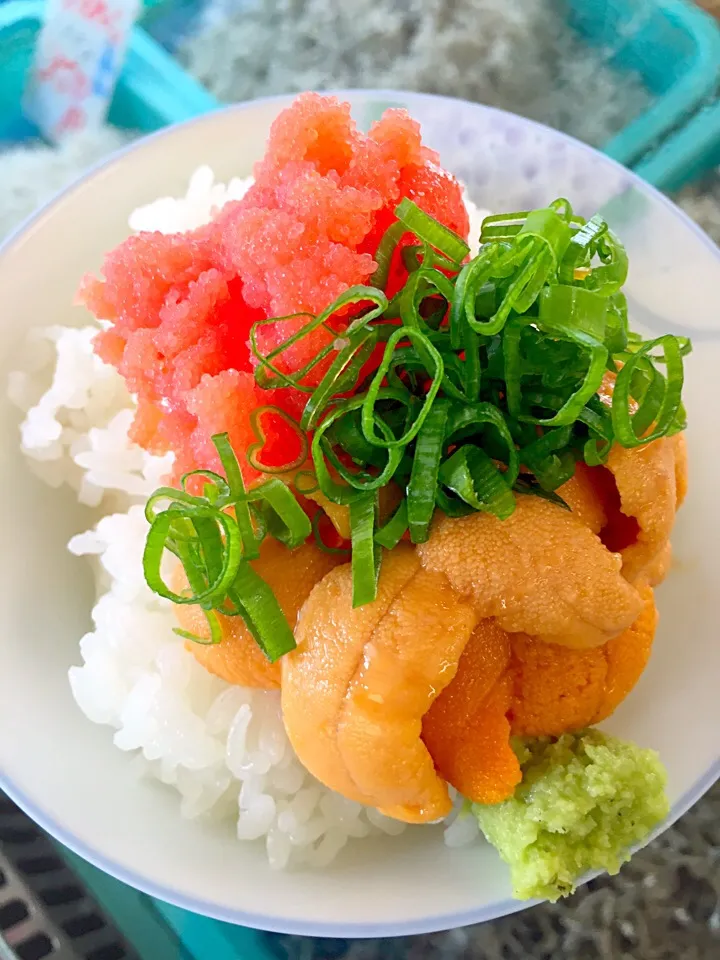 好物丼 明太子and雲丹|tomomiさん