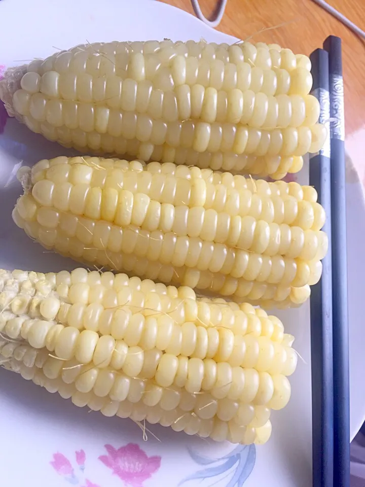 玉米🌽🌽🌽|Mango莫西莫西さん