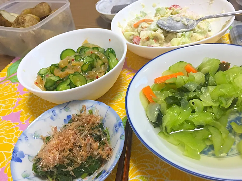 野菜採れ過ぎで野菜ばっかり|wildcat山猫さん