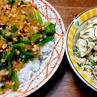 野菜たっぷり麻婆春雨丼とオカヒジキの豆腐チャンプルー(^.^)|🌾🌾🌾さん