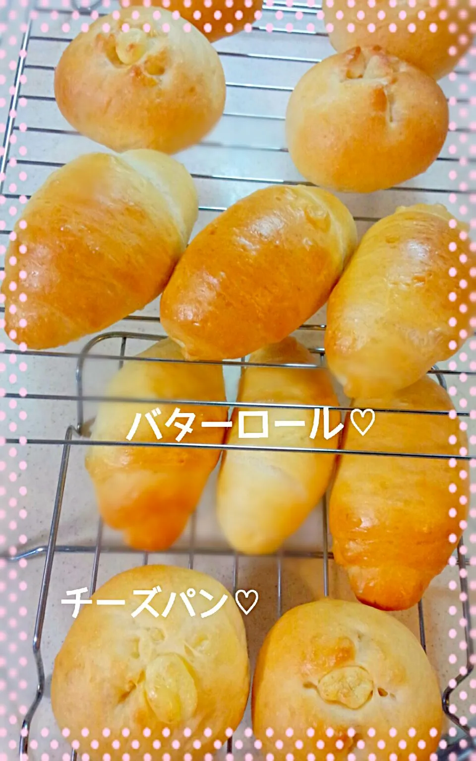 Snapdishの料理写真:バターロール＆チーズパン♡|ゆっこさん