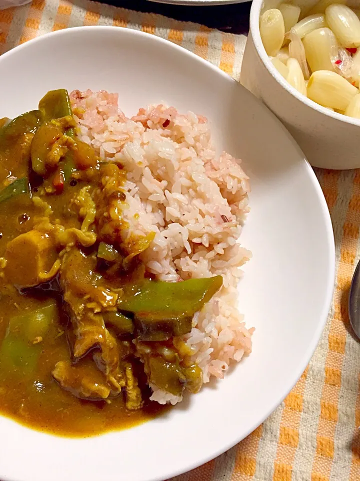 夏野菜カレー|掛谷節子さん