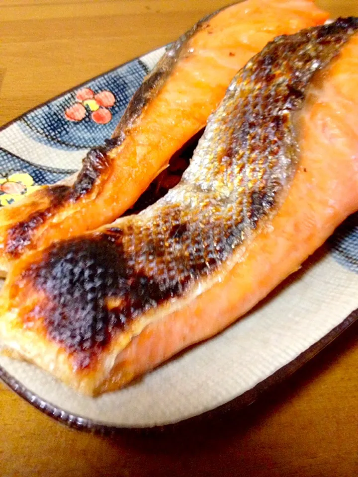 鮭の塩焼き🐟ハマってます😋|まいりさん