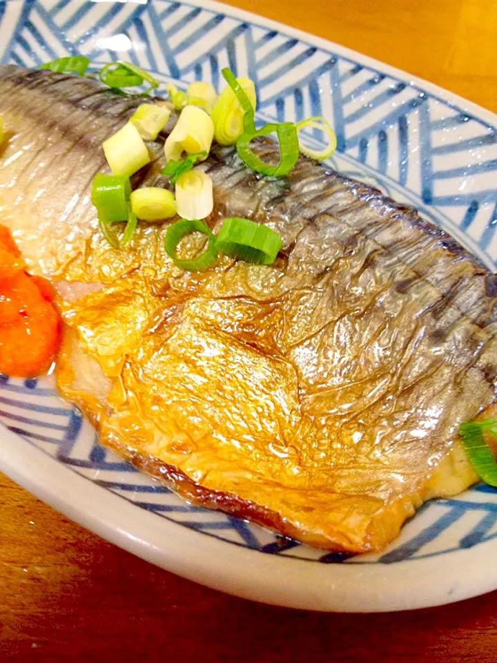 鯖の塩焼き🐟もみじ下ろしもね💕|まいりさん