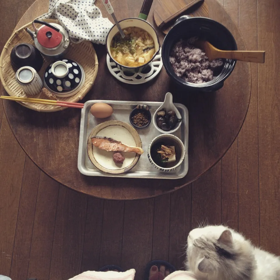 “ シャケ定 ”|おたんこ食堂  d□~°さん