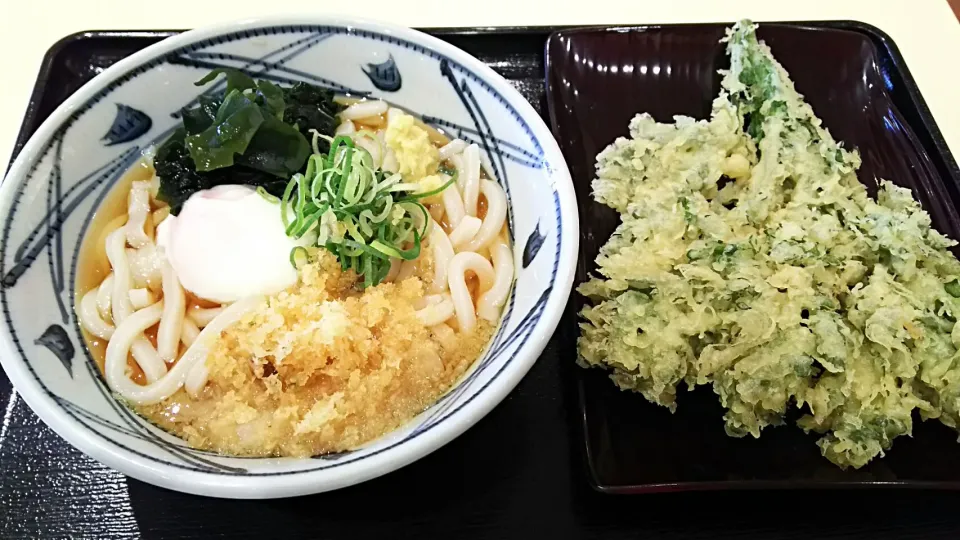 今日のランチは温玉ぶっかけと春菊の天ぷら@ 讃岐、香蔵製麺所 480円～🍜|quitaさん