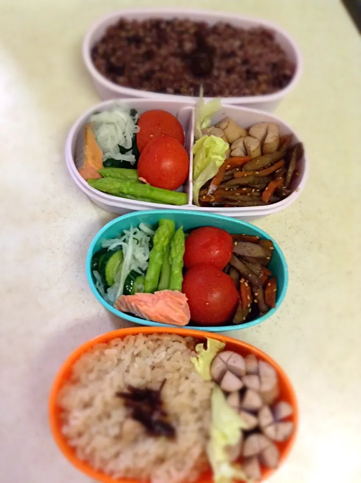 Today’s lunch box. “kashiwa-meshi” means chicken rice.|hoppycowさん