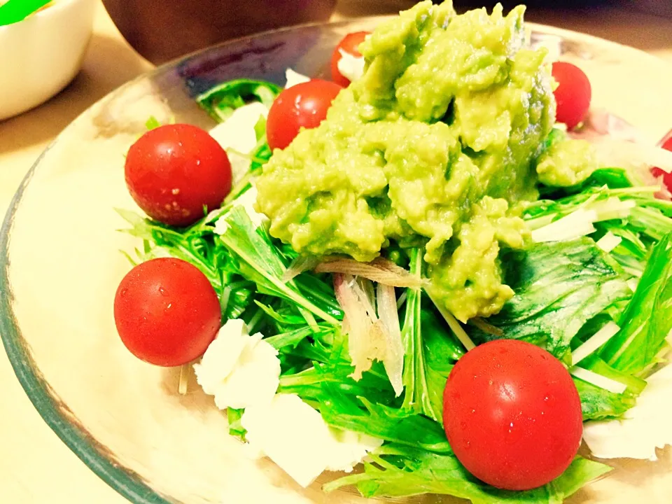 青唐辛子入りアボカドディップで水菜を食べようサラダ|やました まみさん