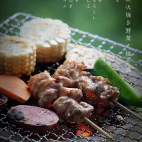 Snapdishの料理写真:七輪で野菜炭火焼と焼き鳥|晴子さん