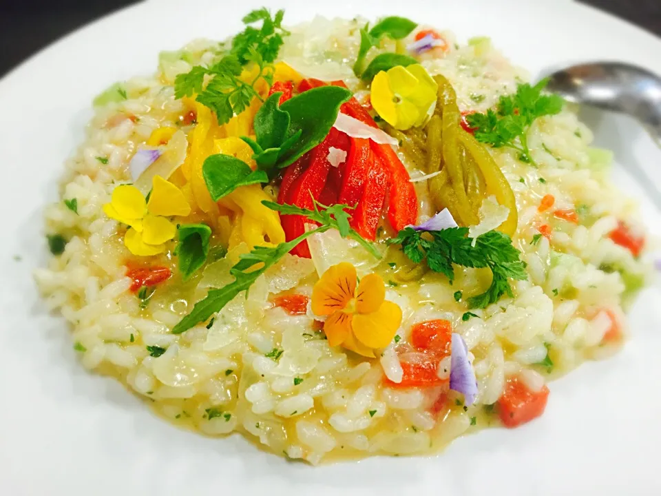 pimento risotto with bell pepper salad|rayさん