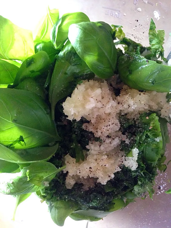 Snapdishの料理写真:Pesto from scratch!|KC Agustinさん