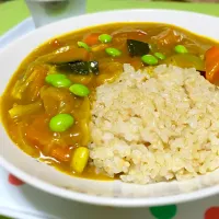 Snapdishの料理写真:ベジタリアンの夏野菜カレー|ユカさん