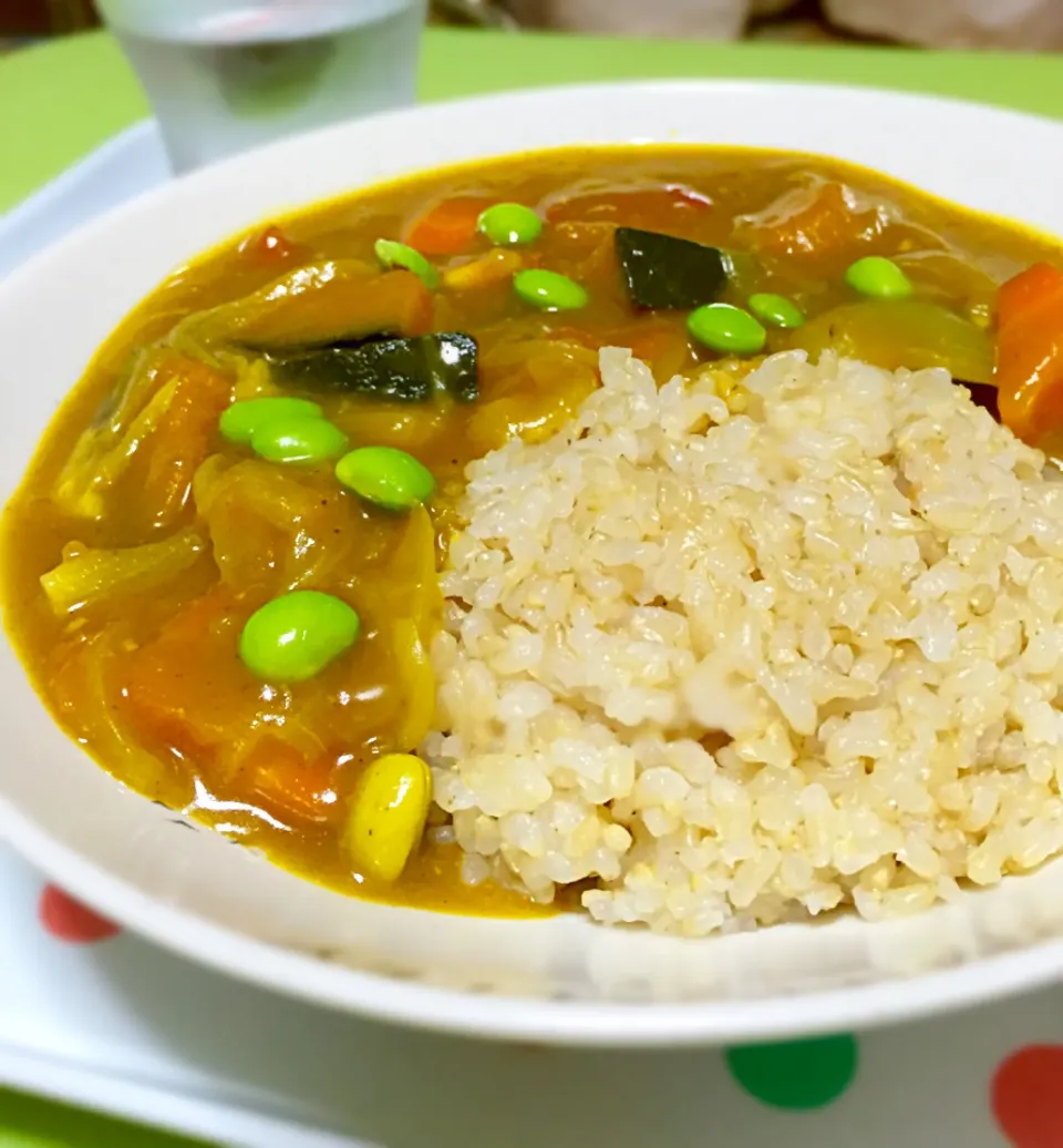 Snapdishの料理写真:ベジタリアンの夏野菜カレー|ユカさん