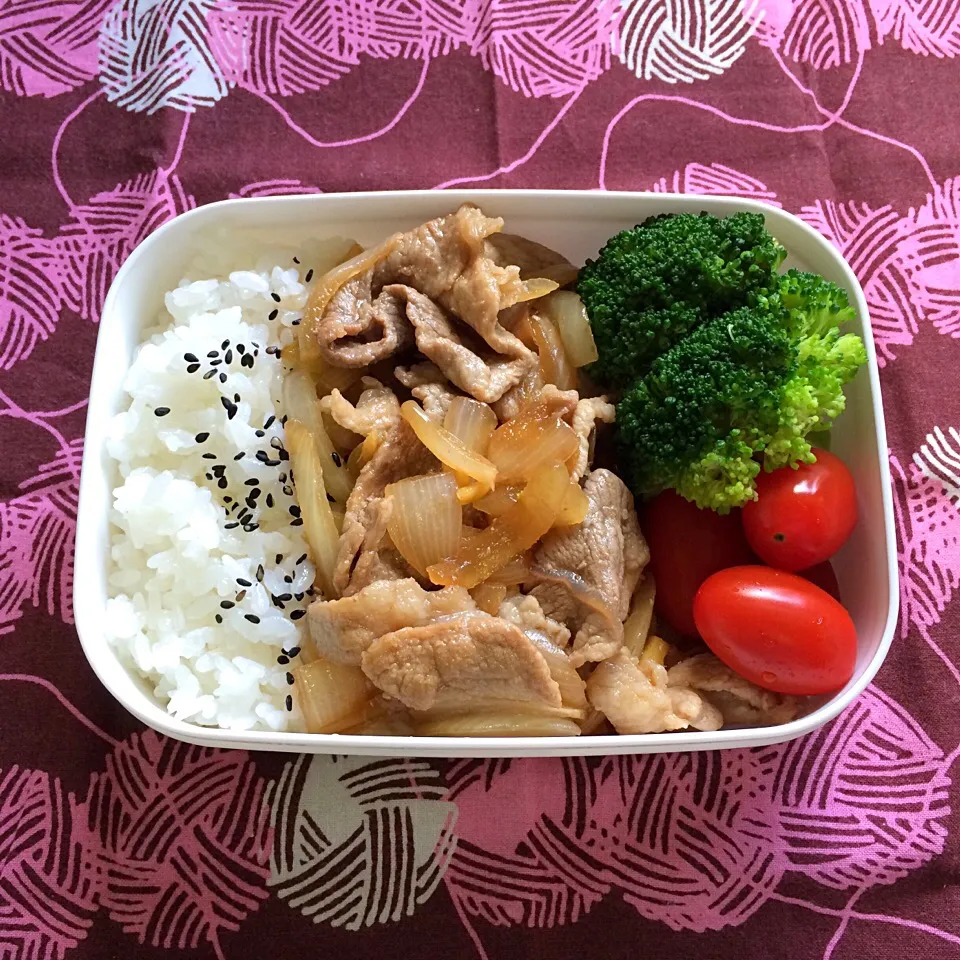 Snapdishの料理写真:7月14日パパお弁当|tomoさん