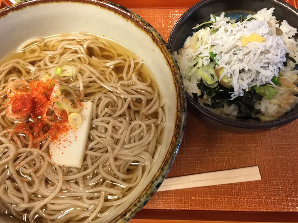 しらすご飯とかけそば|まさとさん