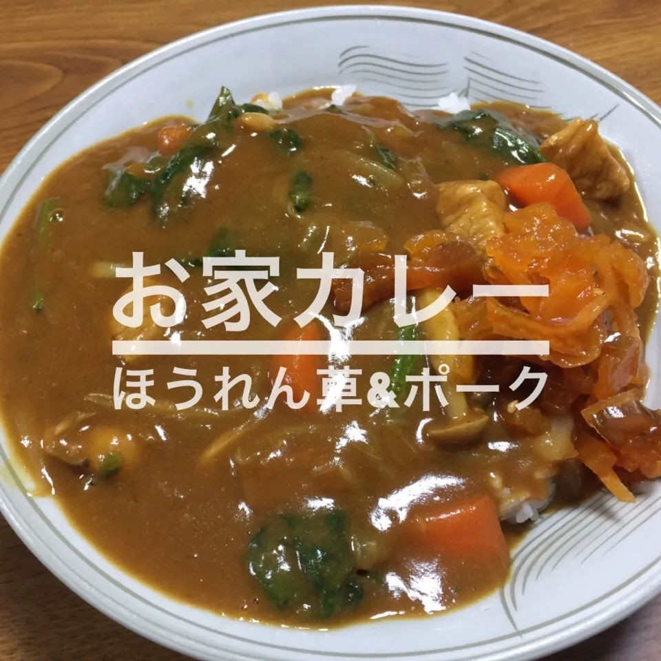 カレー|Kato Kentaさん