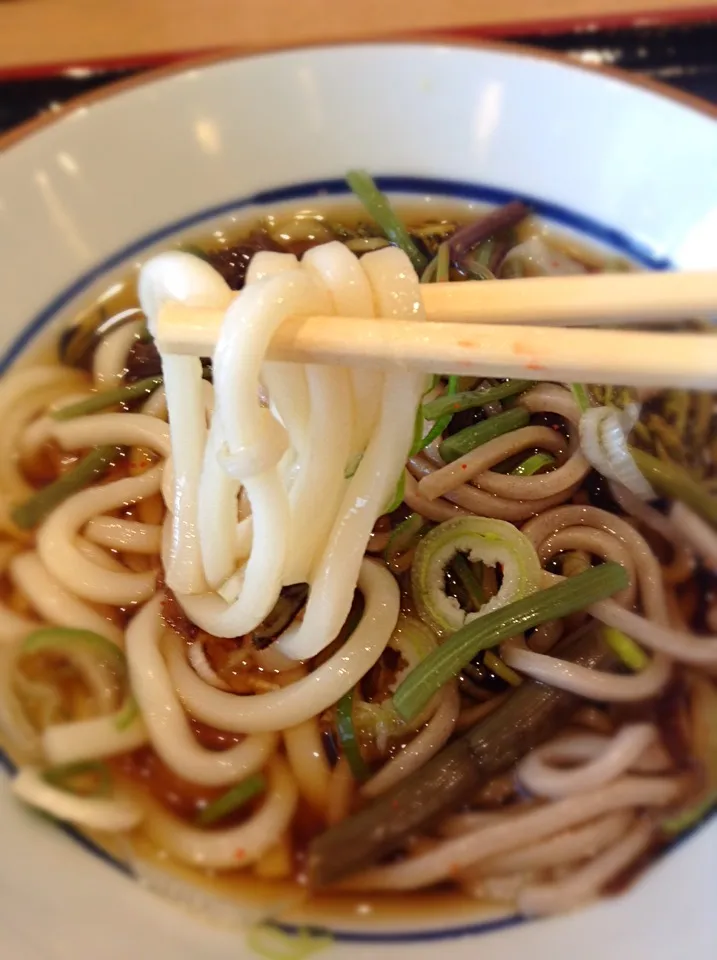 蕎麦とうどんハーフ&ハーフの「ちゃんぽん」 美味しいなあ|hoppycowさん