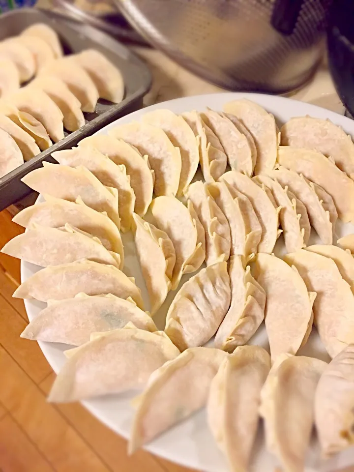 餃子の大量生産！|かえでぃんさん