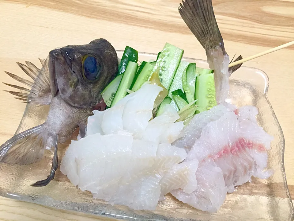 釣メバル（左）と釣メジナ（右）のお造り  釣り立てを食感重視で本日頂きます！|さくたろうさん