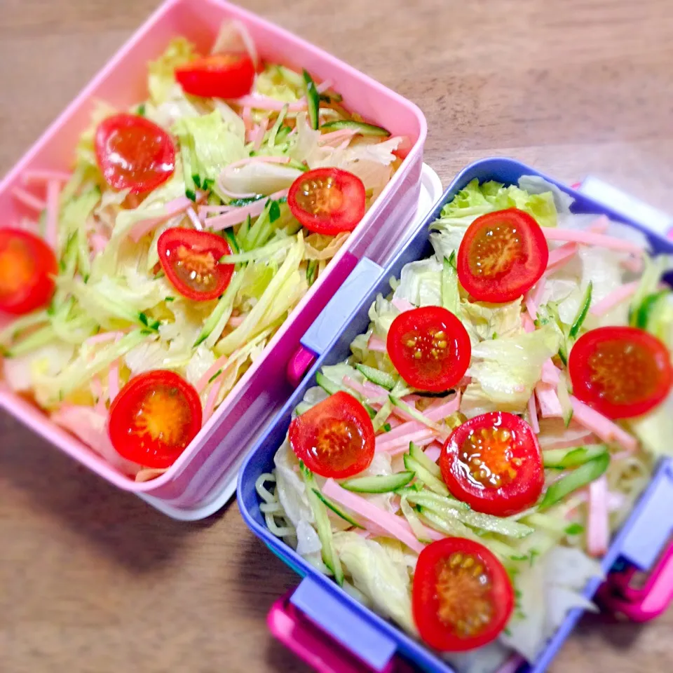 じゅんちゃん、ななちゃんお弁当！暑いから サラダ中華にしました！|Tomomi Kigoshiさん