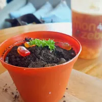 dirt cake.. like a plant|hendri dharmaさん