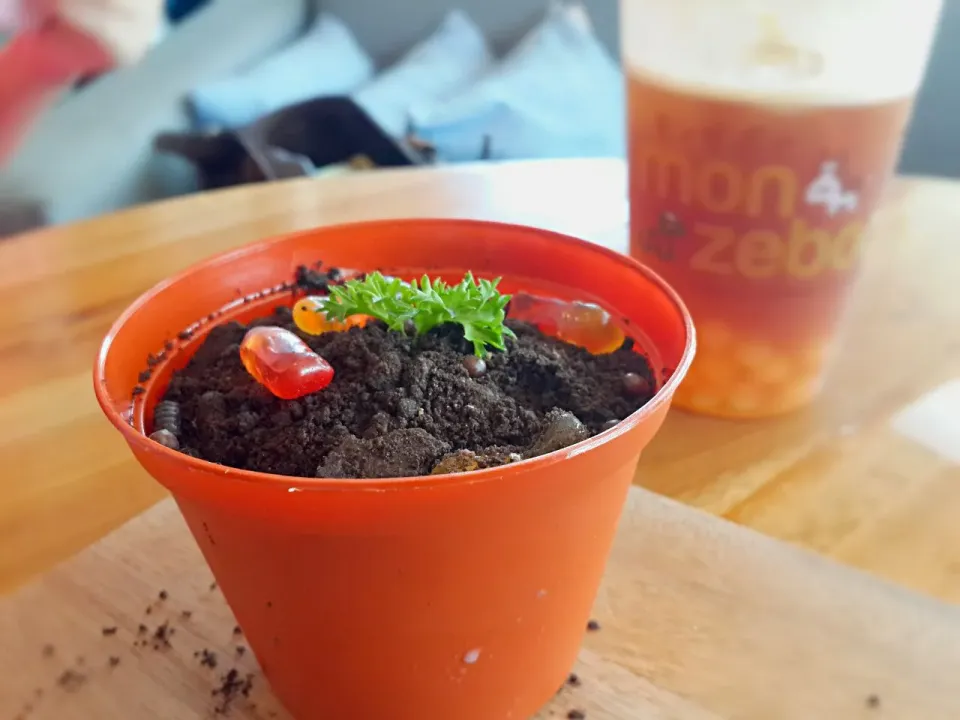 dirt cake.. like a plant|hendri dharmaさん