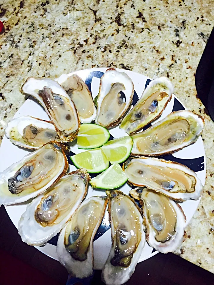 Oysters|Cathy Shuonan Wangさん