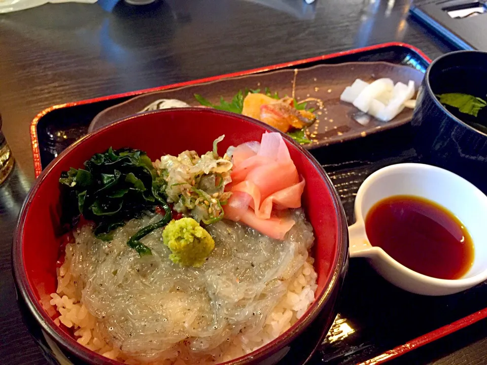 生しらす丼|たいちさん