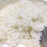 Rice|hanpingさん