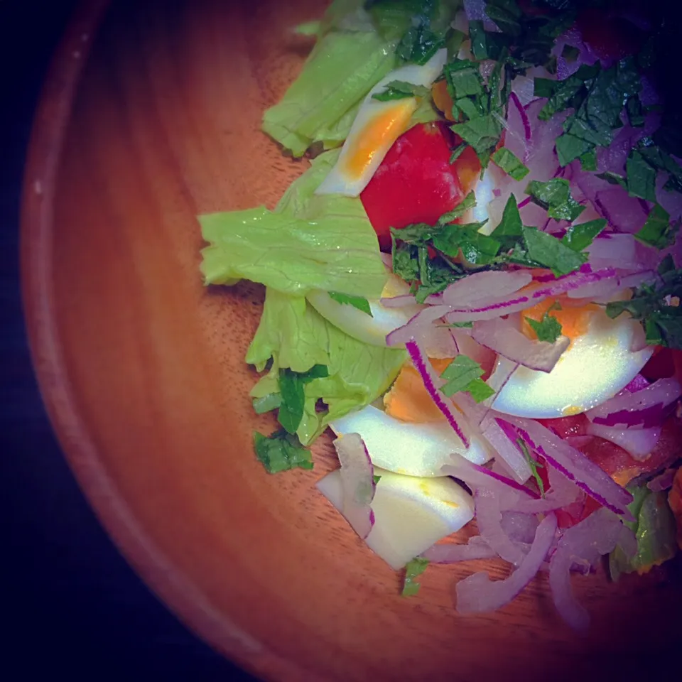 Tonight's salad〜lettuce, tomato, early red, megaphyll and boiled egg|nori.co.jpさん